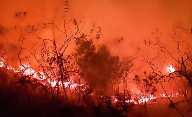Informar un incendio del bosque de Vamia en Dolores, Tolima; Los residentes solicitan la ayuda de los bomberos para suprimir las llamas: «Nacimiento del nacimiento»

 – Primer plano