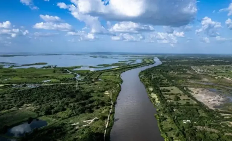 La brisa fuerte causa situaciones de crisis en el sur de la facultad este viernes

 – Primer plano