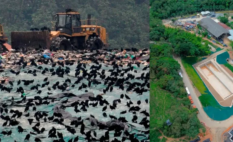 Antioquia llenado sanitario que se convertirá en un parque de tecnologías ambientales

 – Primer plano
