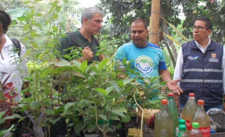 Las universidades públicas serán implementadas por el Presidente del Medio Ambiente, que integra las matemáticas, la física y la química con el desarrollo sostenible
– Primer plano