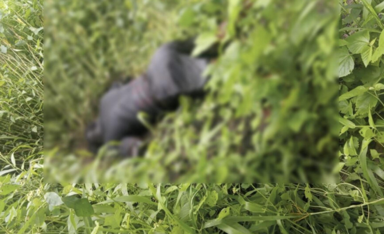 Los cuerpos de dos jóvenes desaparecidos están en Galapa: examinan posibles represalias entre bandas

 – Primer plano