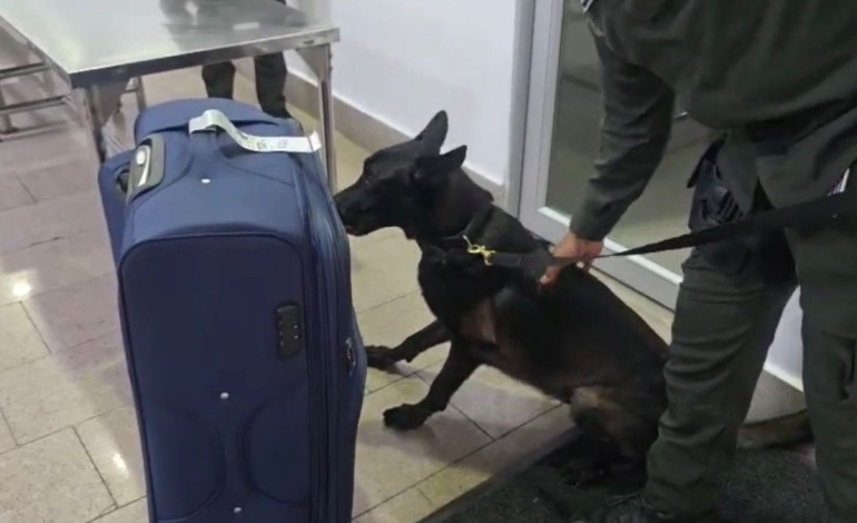 «Mule» cae en el aeropuerto de Cartagena con seis kilos de cocaína escondida en una maleta hacia Europa

 – Primer plano