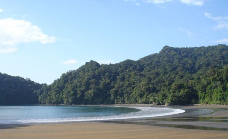 Tres turistas murieron ahogado, y uno falta en las playas de Bahía Solano, Departamento de Chocó: Esto es conocido

 – Primer plano