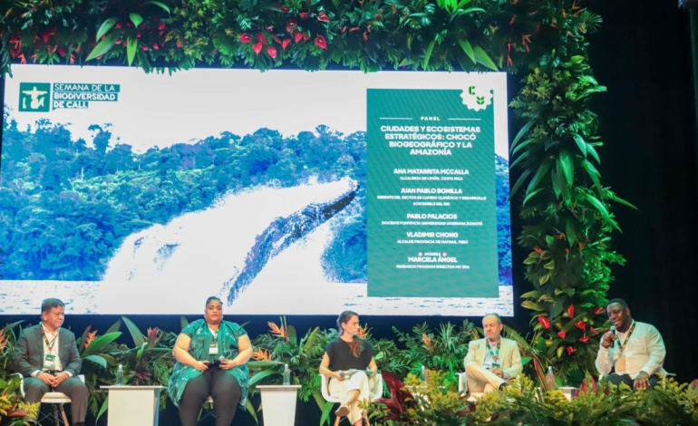 Obligaciones en América Central y Perú

 – Primer plano