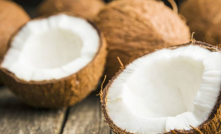 Día mundial de coco: celebrando una fruta que une la salud, la cultura y la sostenibilidad

 – Primer plano