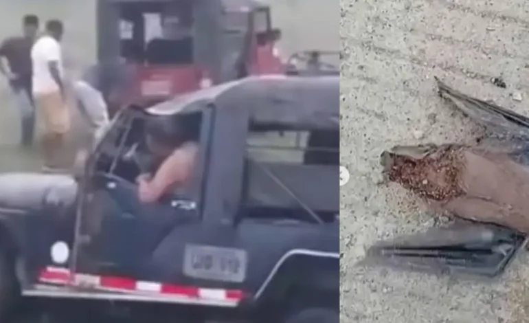 El murciélago entraría en la cabaña de Willys, que giró durante el transporte de 21 estudiantes

 – Primer plano