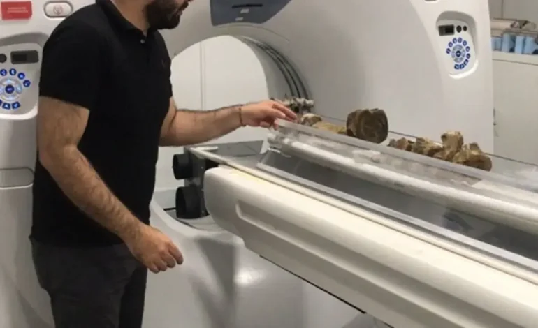 Este es el informe más antiguo de la historia
 – Primer plano