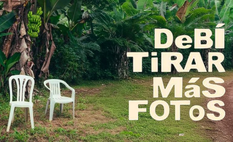 La residencia que redefine el cultivo Pop – 

 – Primer plano