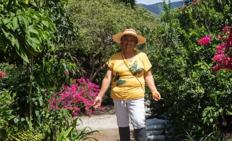 La sabiduría innata del campesino en Nariño la llevará a Japón lejano, con su exitosa experiencia de «bosque comestible»

 – Primer plano