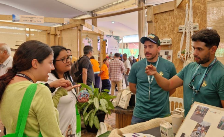 Plasoleta de San Francisco, en el centro de Cali, se convertirá nuevamente en el corazón verde de Colombia durante la semana de diversidad biológica

 – Primer plano