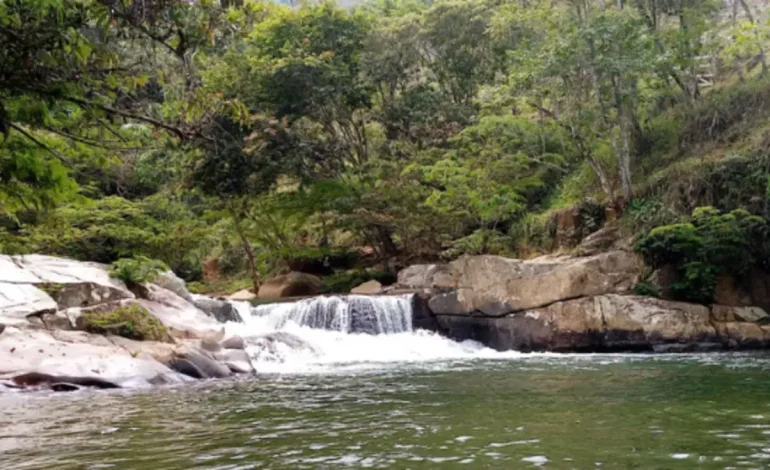Un aumento en la minería ilegal, entre las causas

 – Primer plano