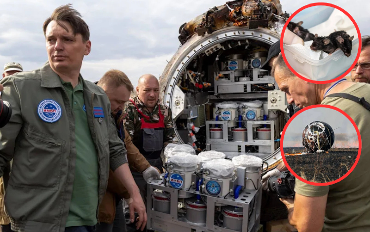 La misión rusa «Noah’s Arche» regresa después de probar la hipótesis de Panspermia

 – Primer plano