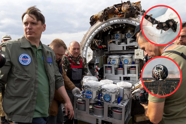 La misión rusa «Noah’s Arche» regresa después de probar la hipótesis de Panspermia

 – Primer plano