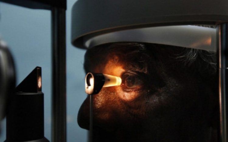 Las células madre responden a los pacientes sin punto de vista

 – Primer plano