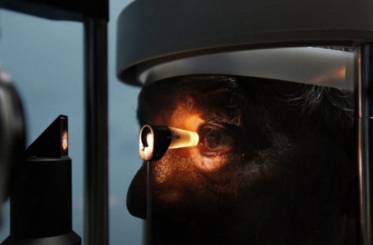 Las células madre responden a los pacientes sin punto de vista

 – Primer plano