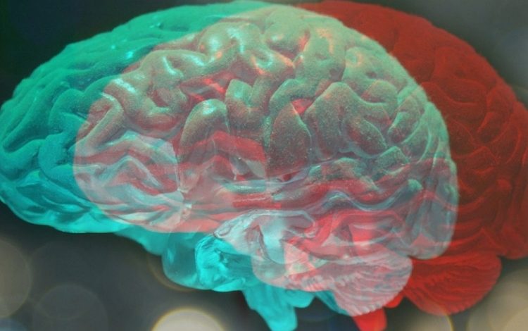 La píldora experimental repara el cerebro y repara las funciones motoras y cognitivas,
 – Primer plano