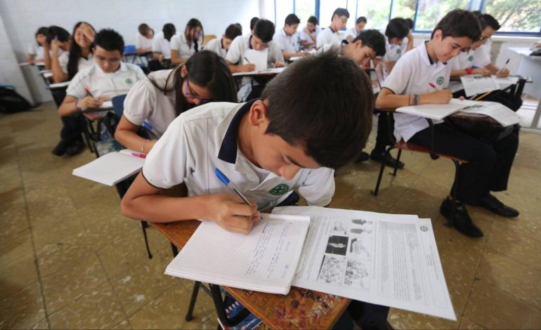 En 2024, la tasa de abandono en los colegios oficiales se mantuvo en el 3,5%, el mismo nivel que en 2023.

 – Primer plano