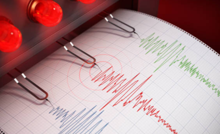 conocer el epicentro, tamaño y profundidad
 – Primer plano