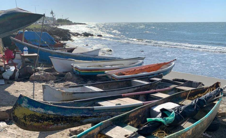 Dos millones de alevines se impulsan a aumentar la mitad y responder a la crisis que viven los pescadores para contaminar

 – Primer plano