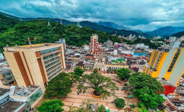 Consejo y CUC bajo el microscopio
 – Primer plano