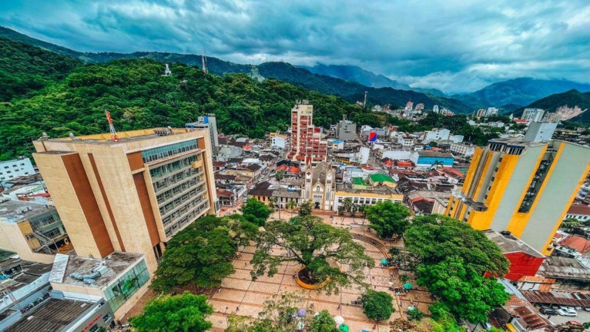 Consejo y CUC bajo el microscopio

 – Primer plano