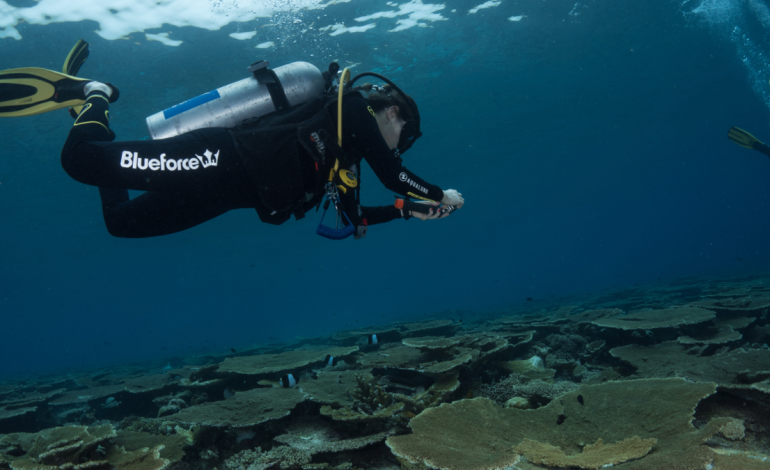 Tras la muerte de un turista en Santa Marta, un experto explica a qué se debe prestar atención para bucear con seguridad

 – Primer plano