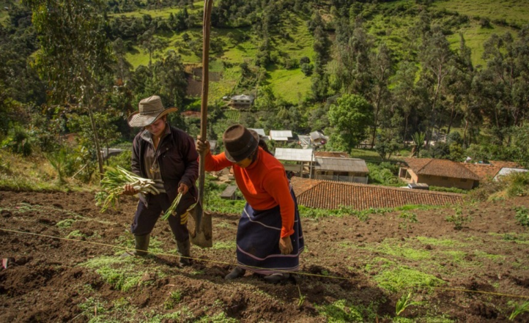 Aquí un panorama de las brechas económicas y culturales de la región y el país

 – Primer plano