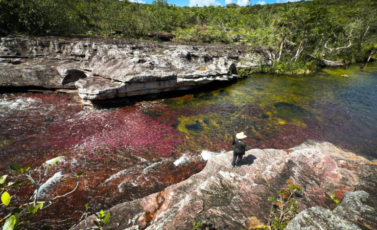 Con un 30 % de tarifas más baratas, reversible en festivales de las llanuras y Joropo, el objetivo está listo para aceptar miles de turistas durante la semana.
– Primer plano
