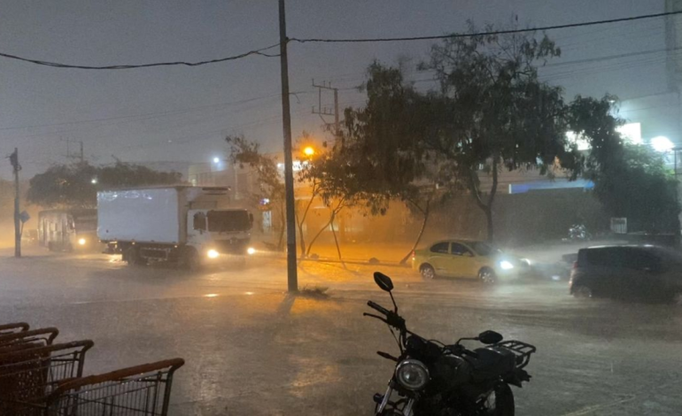 Más de 380 familias afectadas y árboles caídos
 – Primer plano