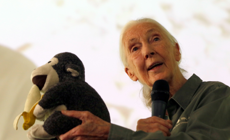 Fue la adopción de un etólogo revolucionario por la capital de Antioquia.

 – Primer plano