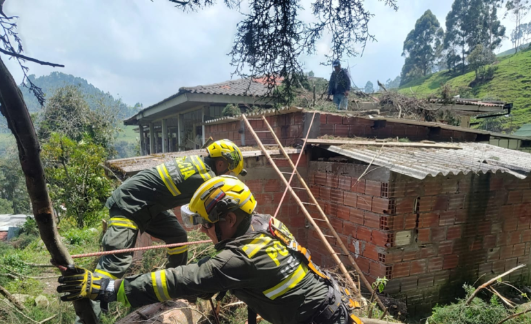 Piden un cuidado especial con menores

 – Primer plano