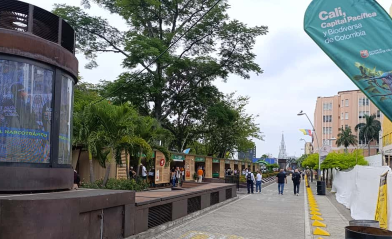 María López del equipo de coordinación de la competencia

 – Primer plano