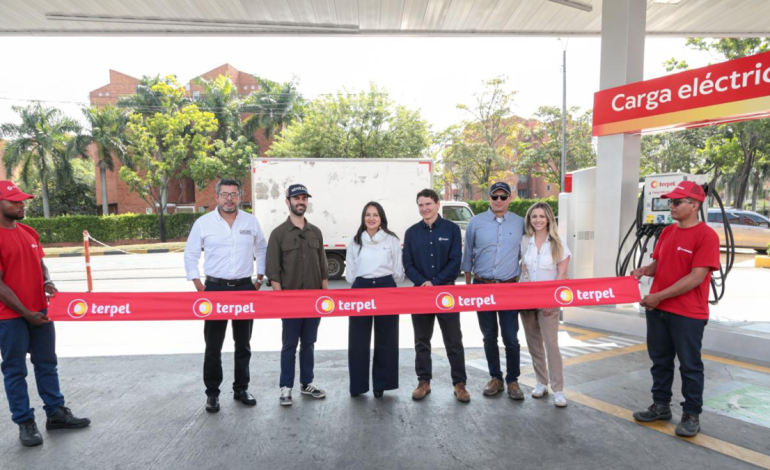 En la semana de diversidad biológica, anuncian nuevas estaciones de carga de automóviles eléctricos pulgadas: ¿dónde y cómo funcionarán?

 – Primer plano