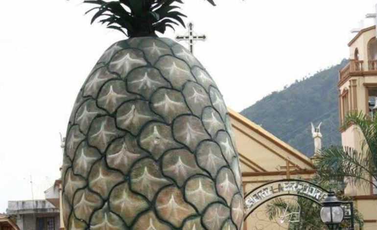 LeBrija, la capital de Piñera de Colombia, revelará el secreto para transformar su fruta insignia en su feria nacional

 – Primer plano