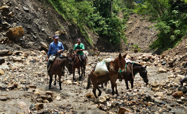 Crescent arrastró a una mujer cuando fue con su esposo e hijos en la yegua; Ya han encontrado su ropa y un animal muerto

 – Primer plano