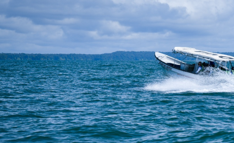 Estarían retenidos por un grupo armado no estatal en La Plata

 – Primer plano