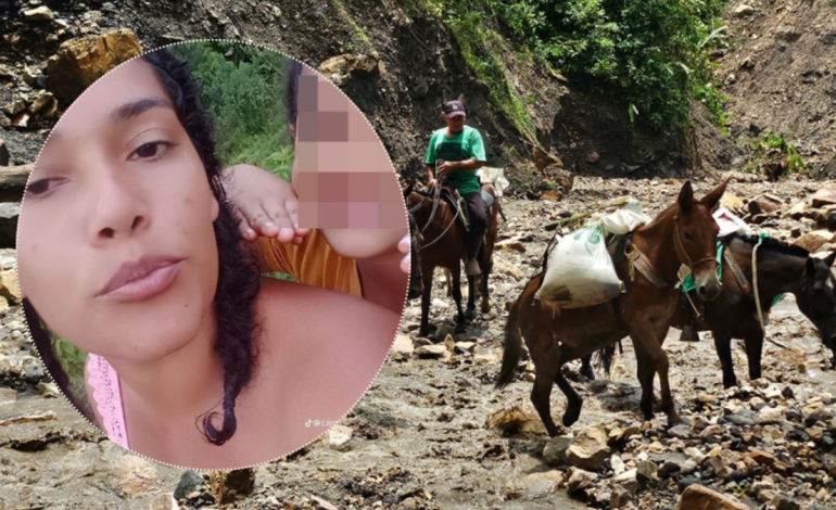 Esta es Carmen Díaz, mujer que fue secuestrada en una quebrada en Páez (Boyacá) mientras cruzaba a caballo para recoger a su esposo e hijos: así va la búsqueda

 – Primer plano