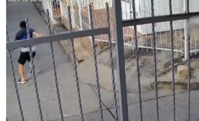 la víctima tiene dos heridas graves

 – Primer plano