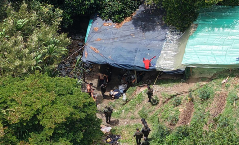 Fue una operación de captura y protección ambiental.
 – Primer plano