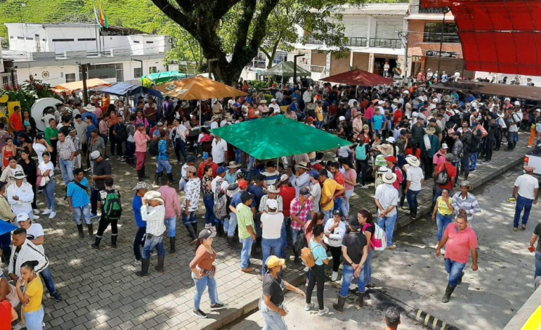 600 agricultores briceños en Antioquia fueron desplazados de sus pueblos por órdenes de grupos ilegales
 – Primer plano