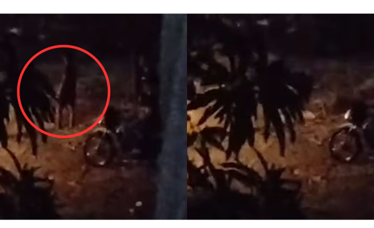 Autoridades investigan la desaparición de un joven que se lanzó al arroyo El Salao en Soledad: aún se desconoce su identidad

 – Primer plano