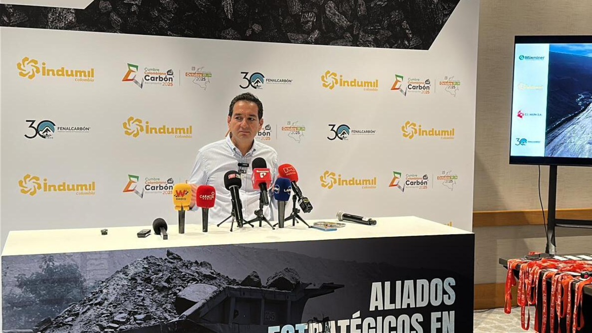 Las exportaciones de carbón han caído un 34%, las pérdidas ascienden a millones de dólares y el sector está haciendo un fuerte llamamiento al gobierno. ¿Qué están pidiendo?

 – Primer plano