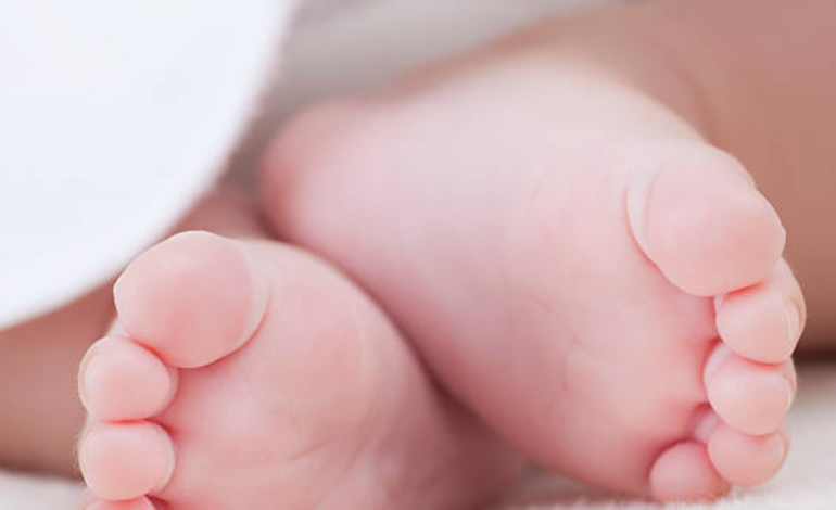 Se refirió al comunicado de la Fundación Chiquitines en el ICBF
 – Primer plano