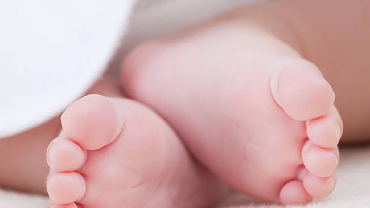 Se refirió al comunicado de la Fundación Chiquitines en el ICBF

 – Primer plano