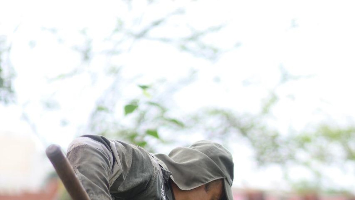 gerente de Corfecali, tras la polémica por el espacio que se destinará a la Feria

 – Primer plano