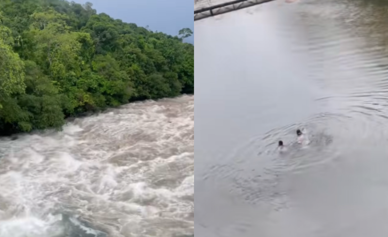 Vídeo| El inquietante momento en el que una pareja se salva de ser devorada por el desarrollo
 – Primer plano