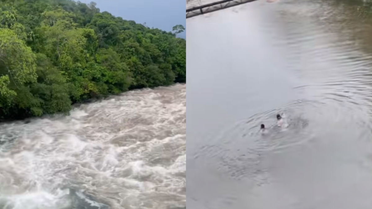 Vídeo| El inquietante momento en el que una pareja se salva de ser devorada por el desarrollo

 – Primer plano