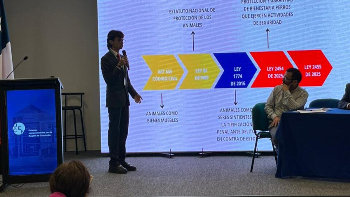 Un joven barranquillero se destaca en el foro internacional sobre derechos animales en Chile
 – Primer plano