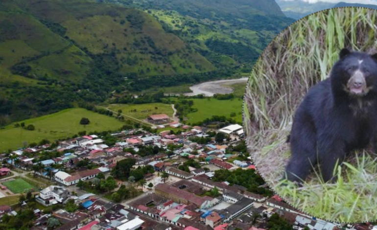 ahora los campesinos los protegen
 – Primer plano