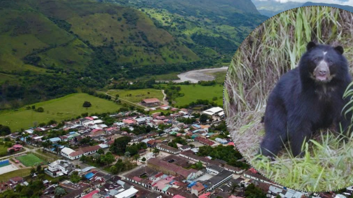 ahora los campesinos los protegen
 – Primer plano